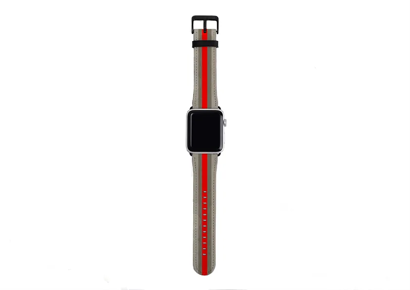 Apple Watch Strap- Paris Chroma Stripe