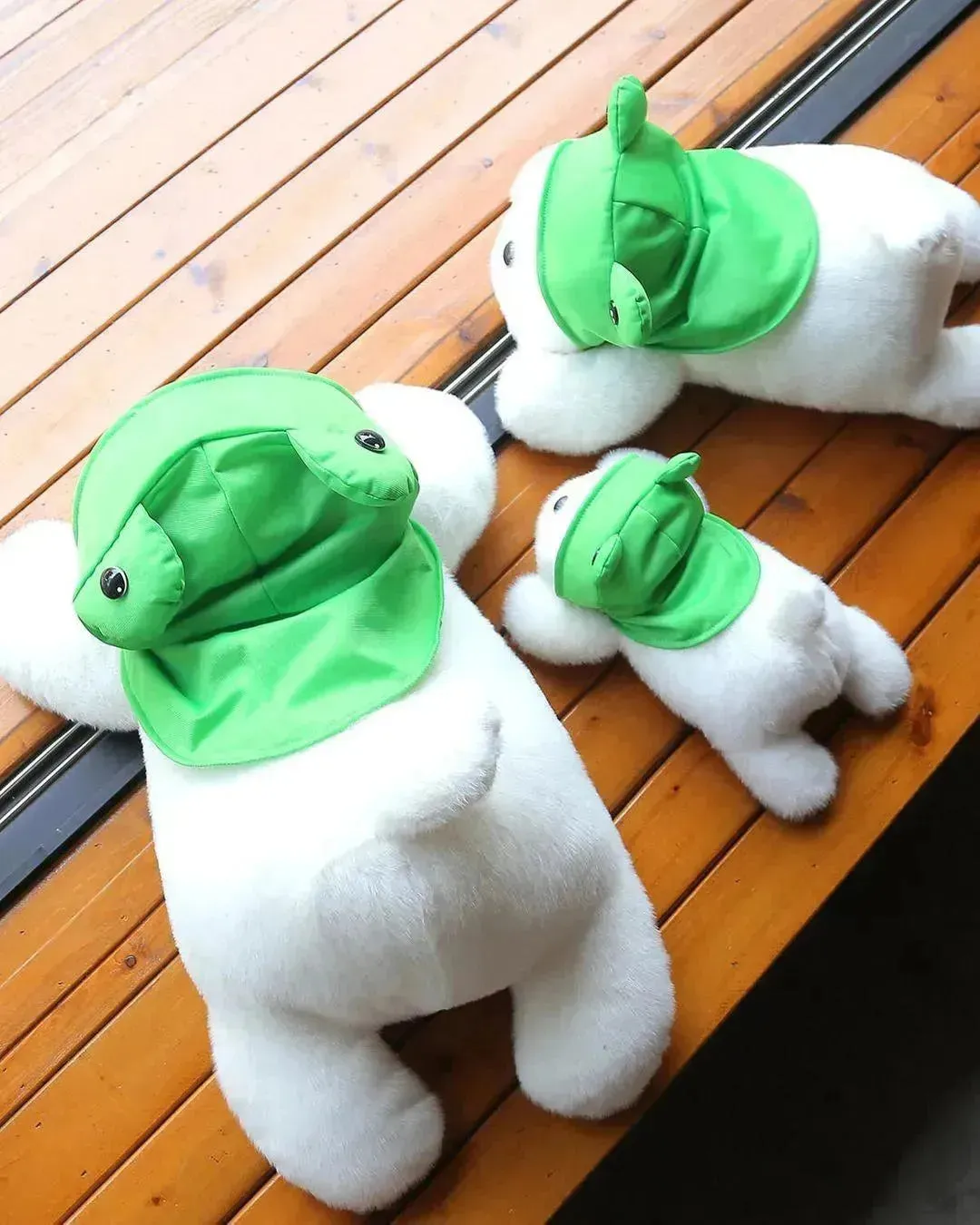 Cute Frog Dog Plush Toy